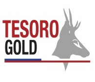 Tesoro Gold Limited logo